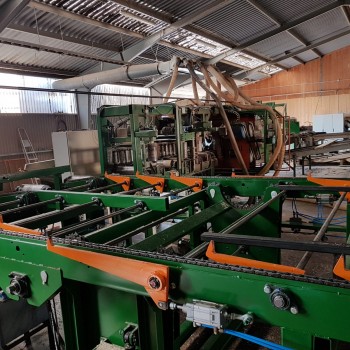 Log feeder and sorting table